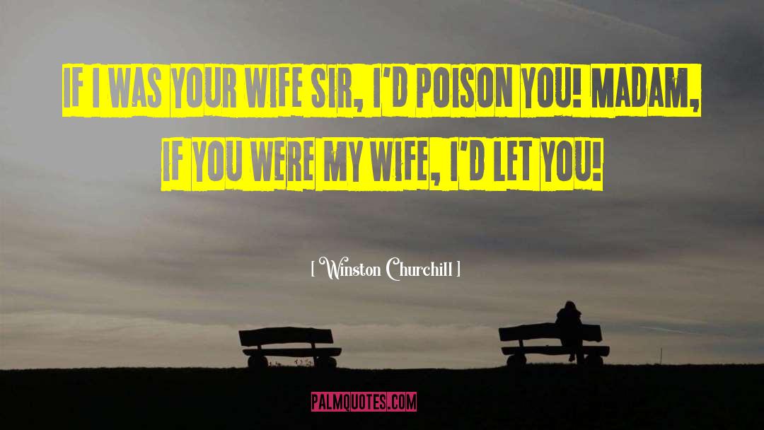 Drinking Poison quotes by Winston Churchill