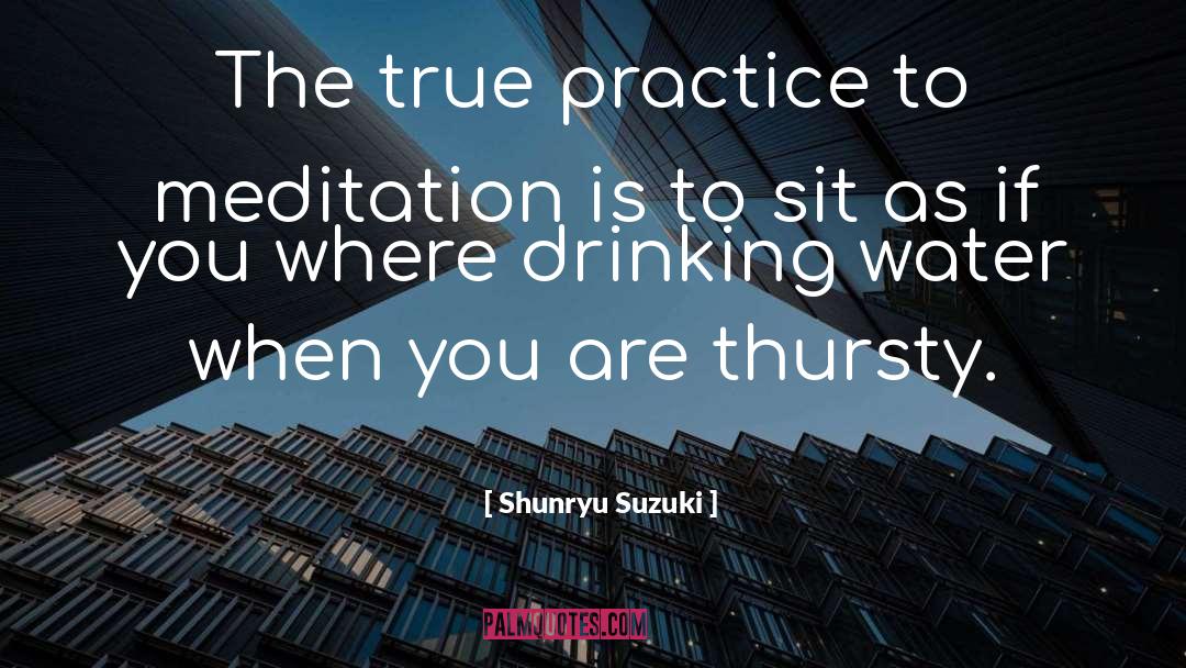 Drinking Water quotes by Shunryu Suzuki