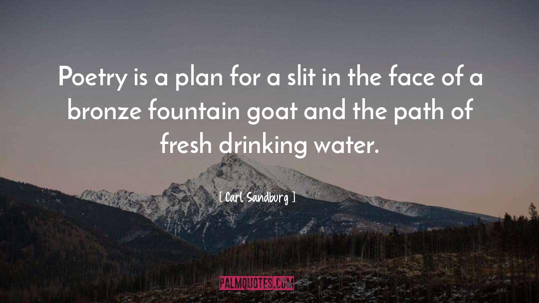 Drinking Water quotes by Carl Sandburg