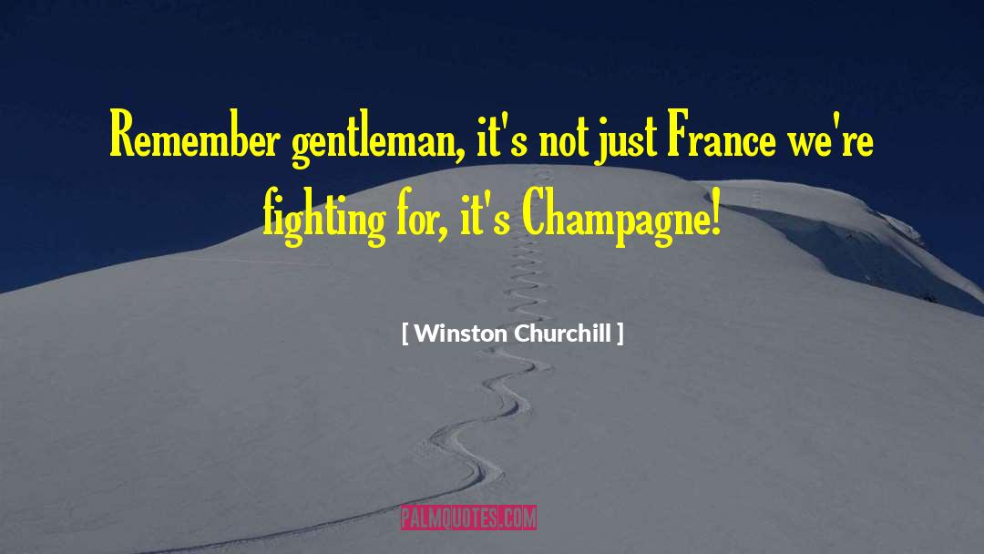 Drinking Wine quotes by Winston Churchill