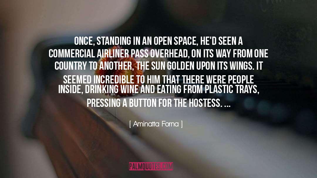 Drinking Wine quotes by Aminatta Forna