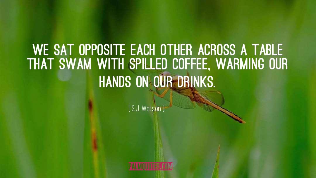 Drinks Kisses quotes by S.J. Watson