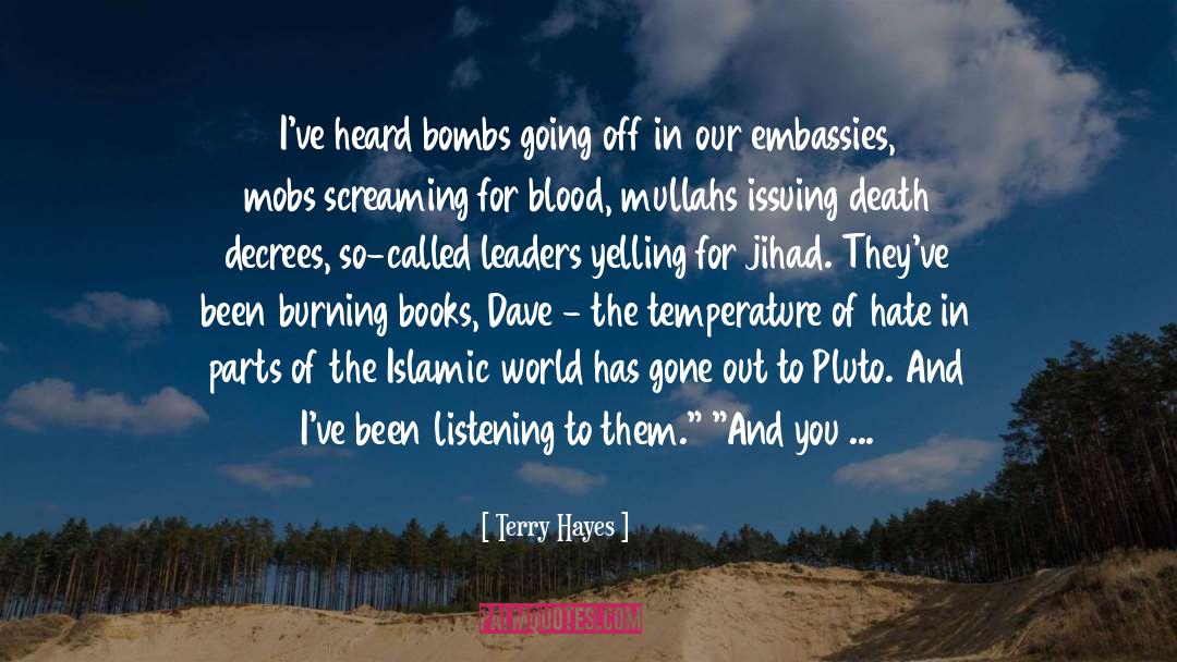 Drinnen Hayes quotes by Terry Hayes