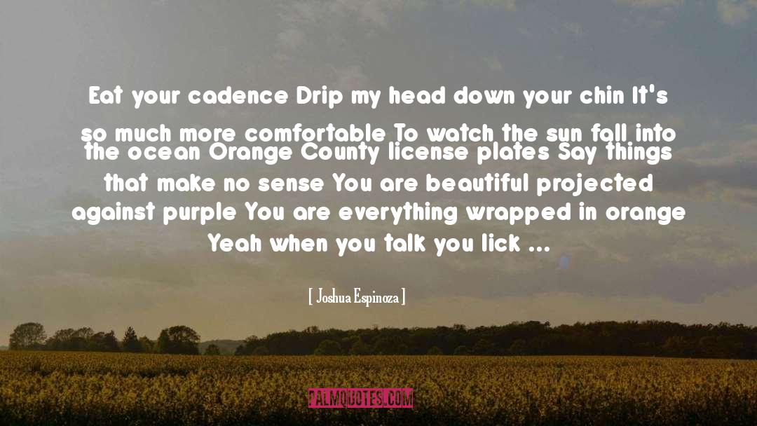 Drip Trays quotes by Joshua Espinoza