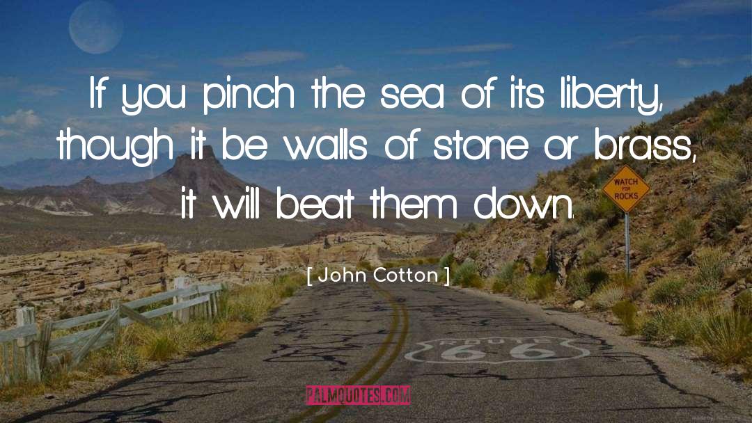 Dripped Down quotes by John Cotton