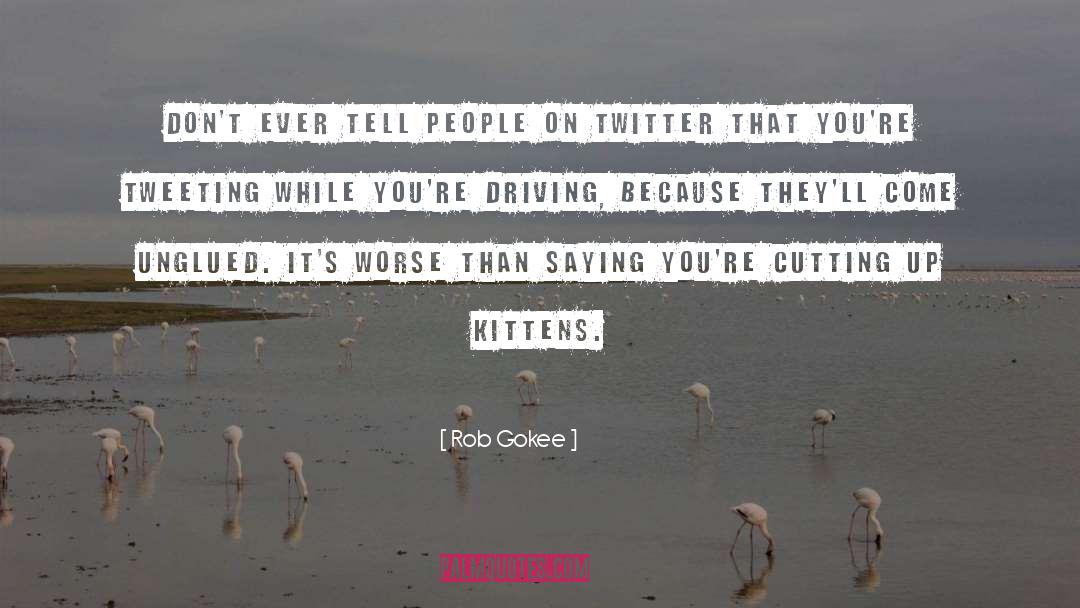 Drita Twitter quotes by Rob Gokee