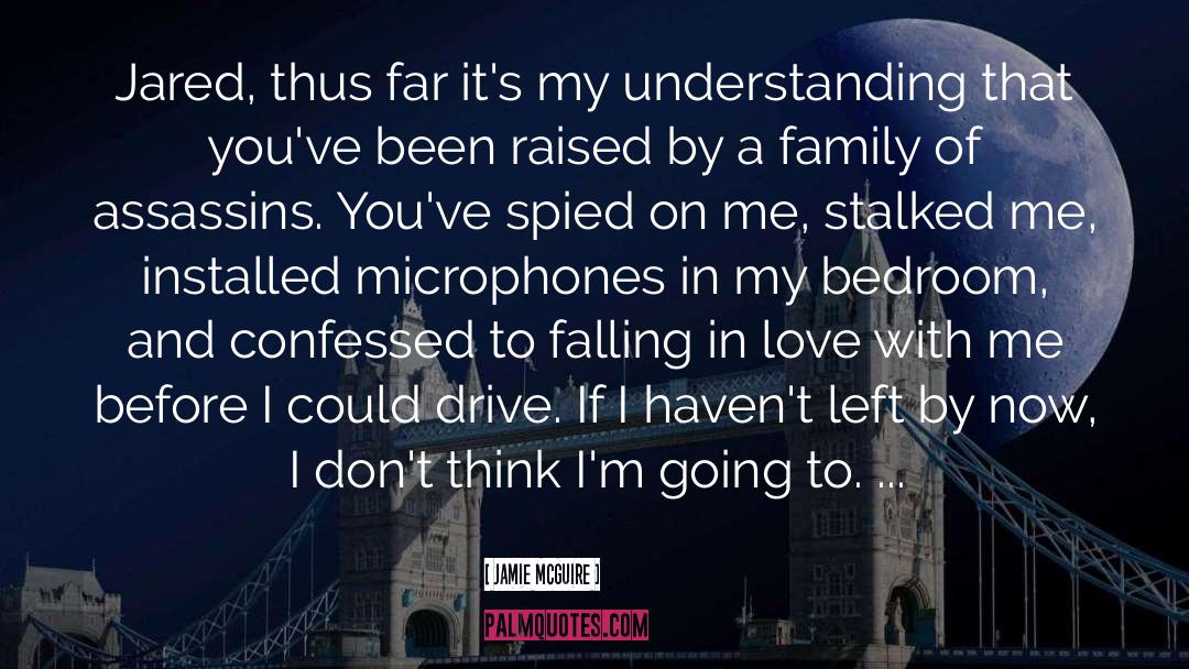 Drive Me Crazy quotes by Jamie McGuire