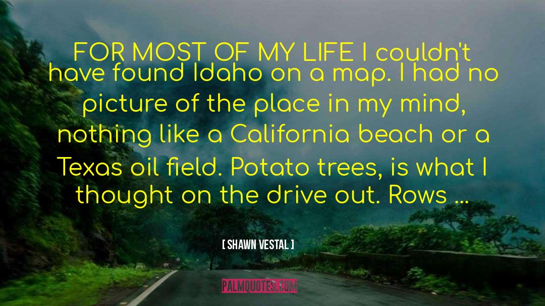 Drive Out quotes by Shawn Vestal