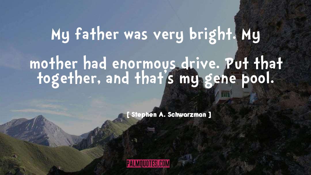 Drive quotes by Stephen A. Schwarzman