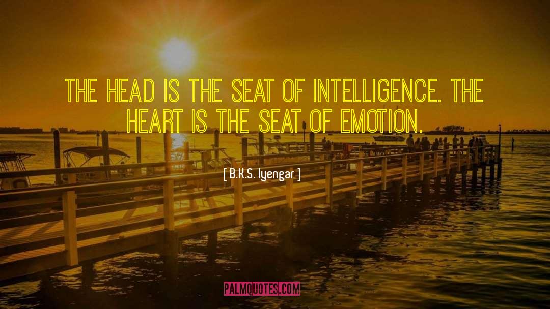 Driver S Seat quotes by B.K.S. Iyengar