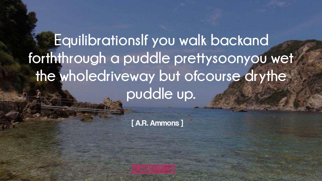 Driveway quotes by A.R. Ammons