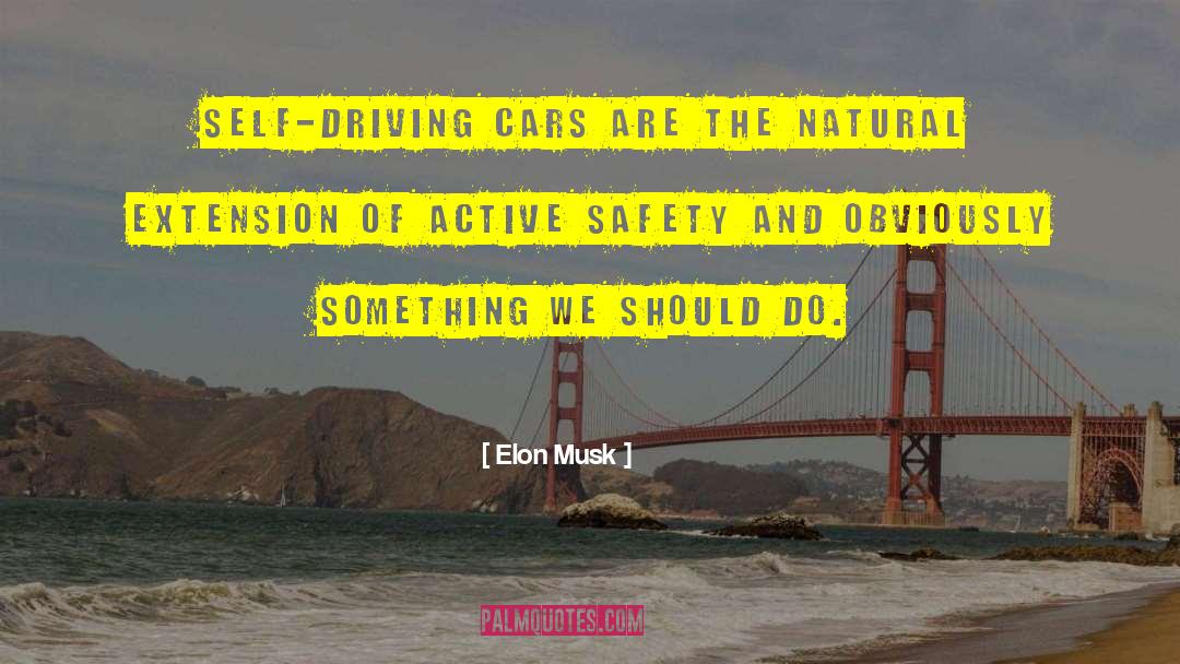 Driving Cars quotes by Elon Musk