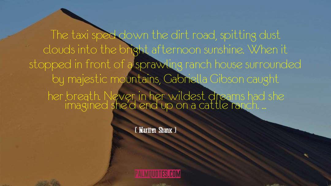 Driving Down The Road quotes by Marilyn Shank