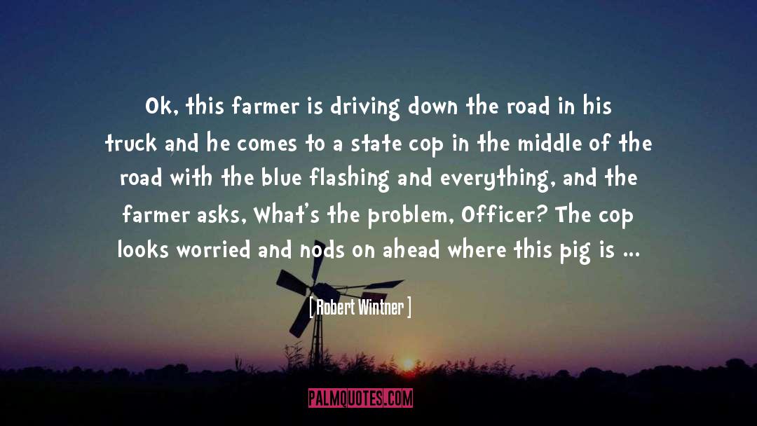 Driving Down The Road quotes by Robert Wintner