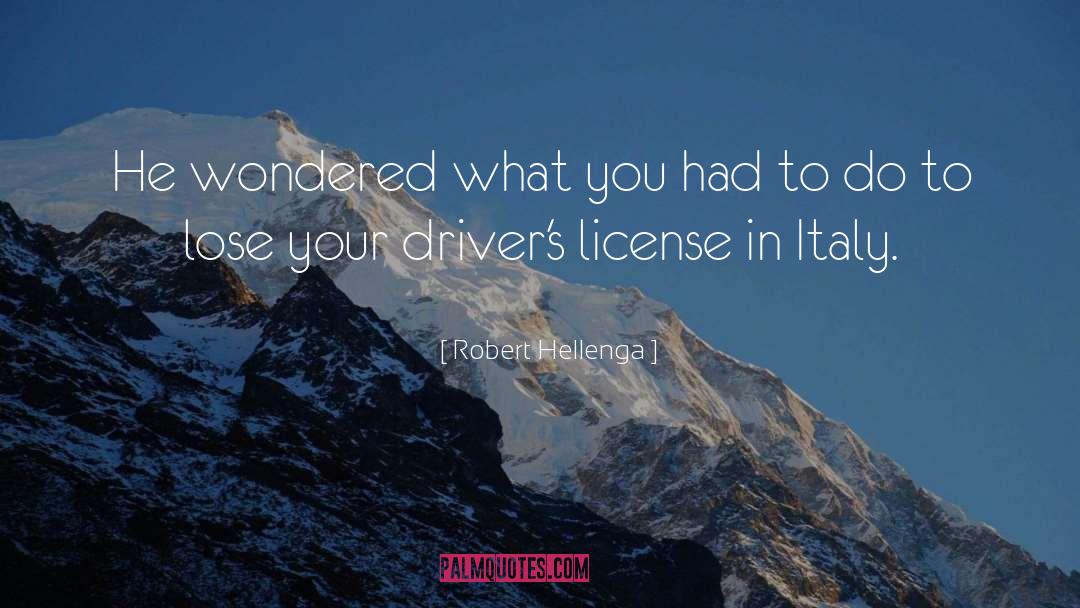 Driving License quotes by Robert Hellenga