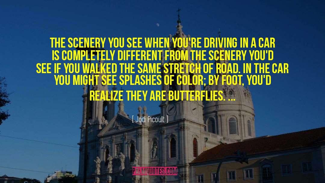 Driving On quotes by Jodi Picoult