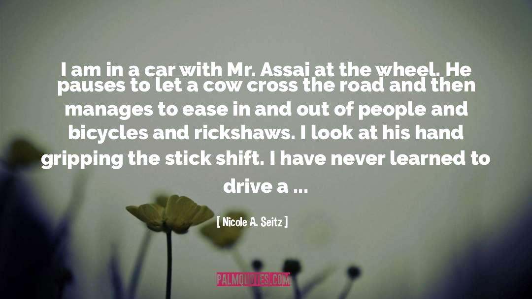 Driving On quotes by Nicole A. Seitz
