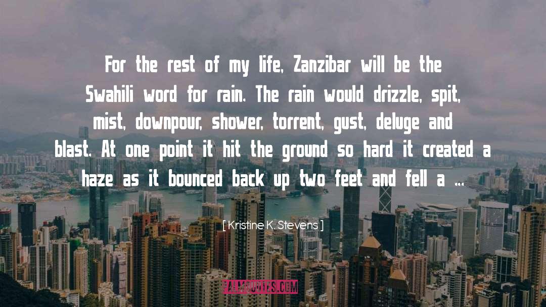 Drizzle quotes by Kristine K. Stevens