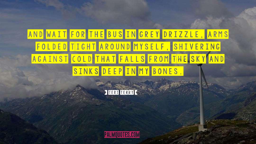 Drizzle quotes by Teri Terry