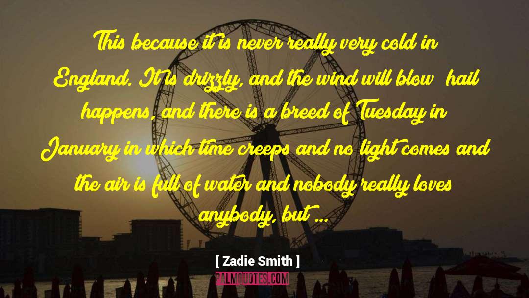 Drizzly quotes by Zadie Smith