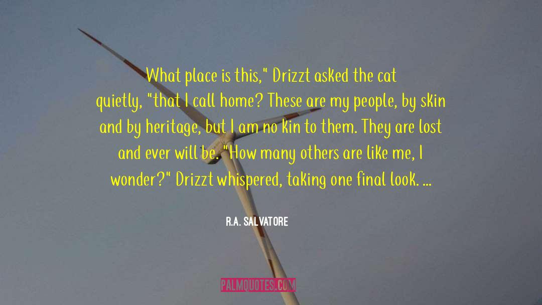 Drizzt quotes by R.A. Salvatore