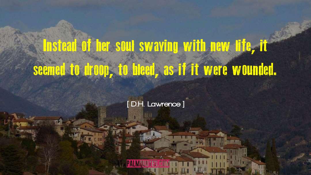Droop quotes by D.H. Lawrence