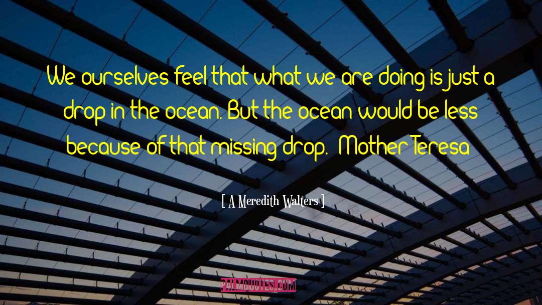 Drop In The Ocean quotes by A Meredith Walters
