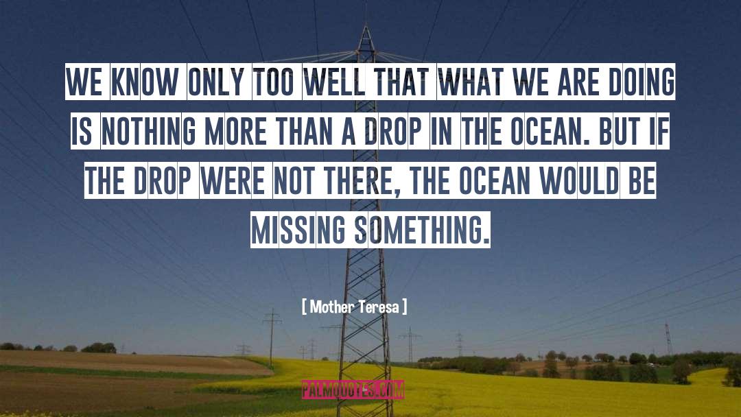 Drop In The Ocean quotes by Mother Teresa