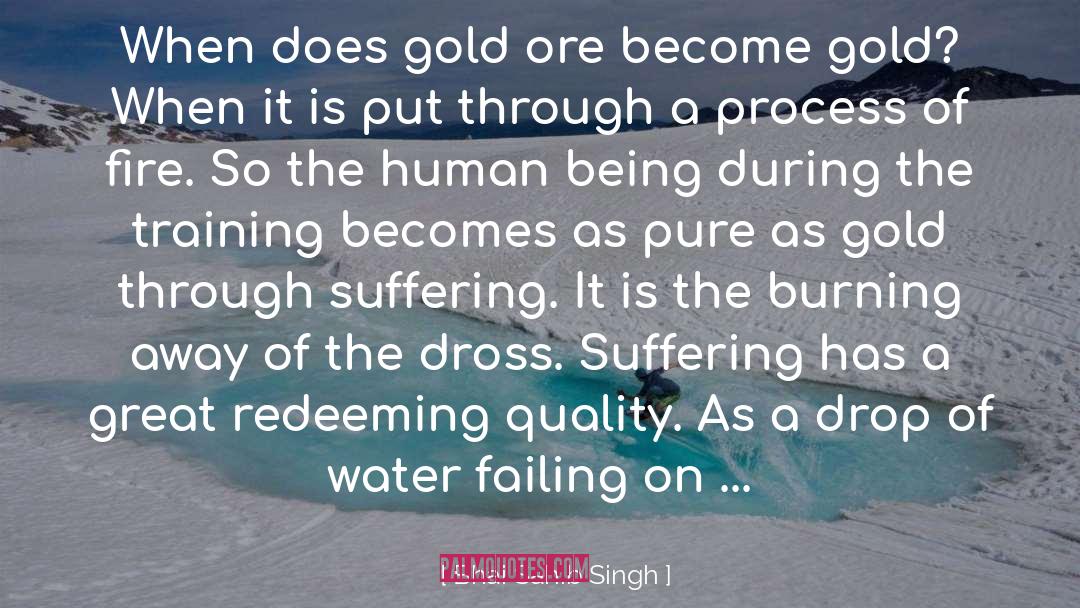 Drop Of Water quotes by Bhai Sahib Singh