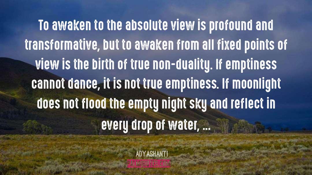 Drop Of Water quotes by Adyashanti
