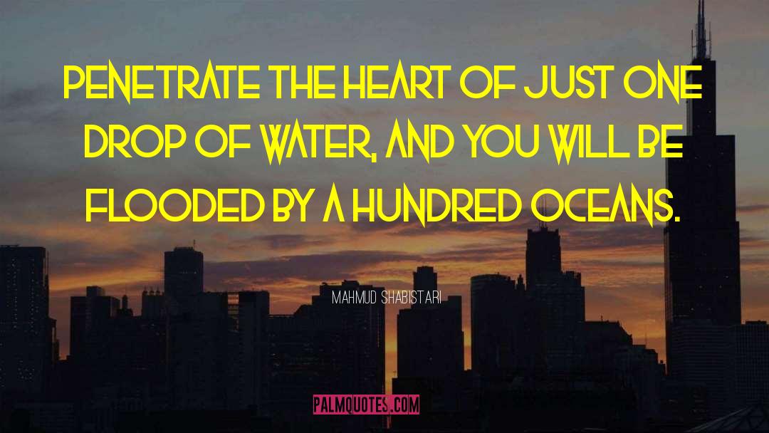 Drop Of Water quotes by Mahmud Shabistari