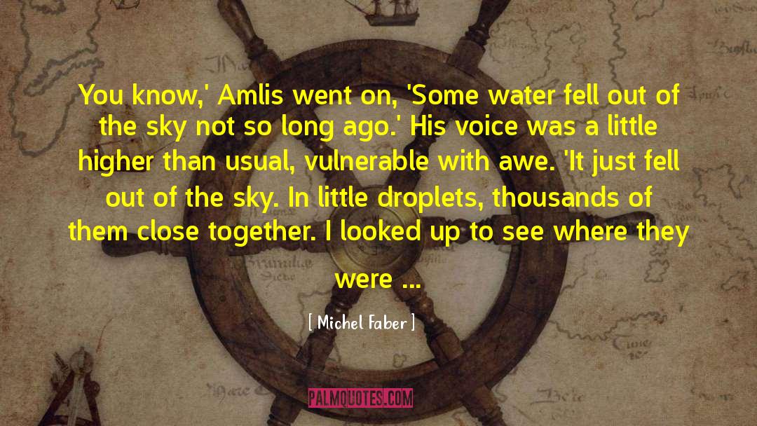 Droplets quotes by Michel Faber