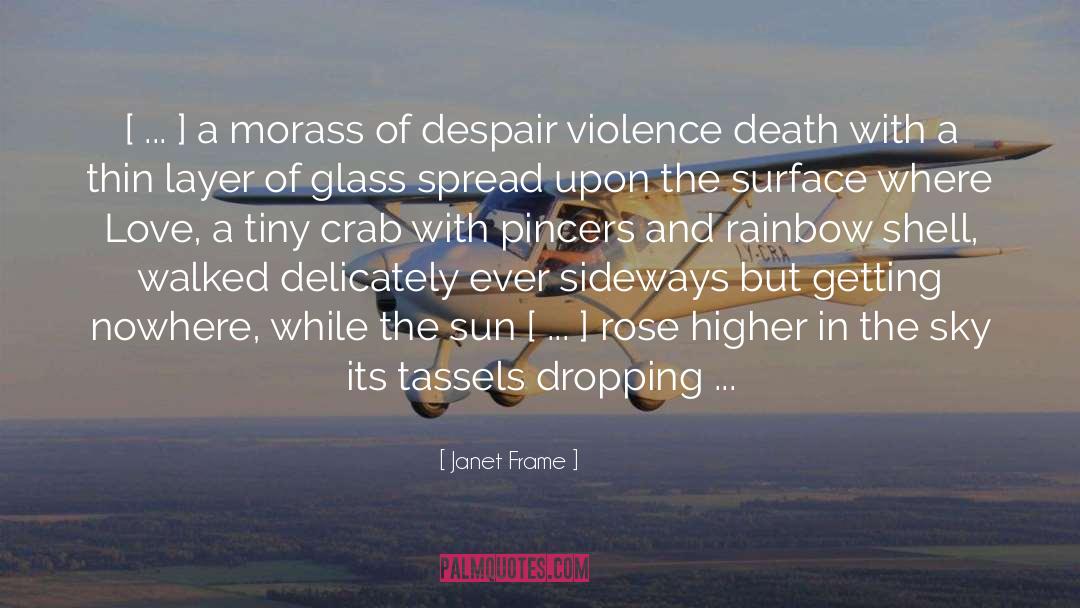 Dropping Acid quotes by Janet Frame