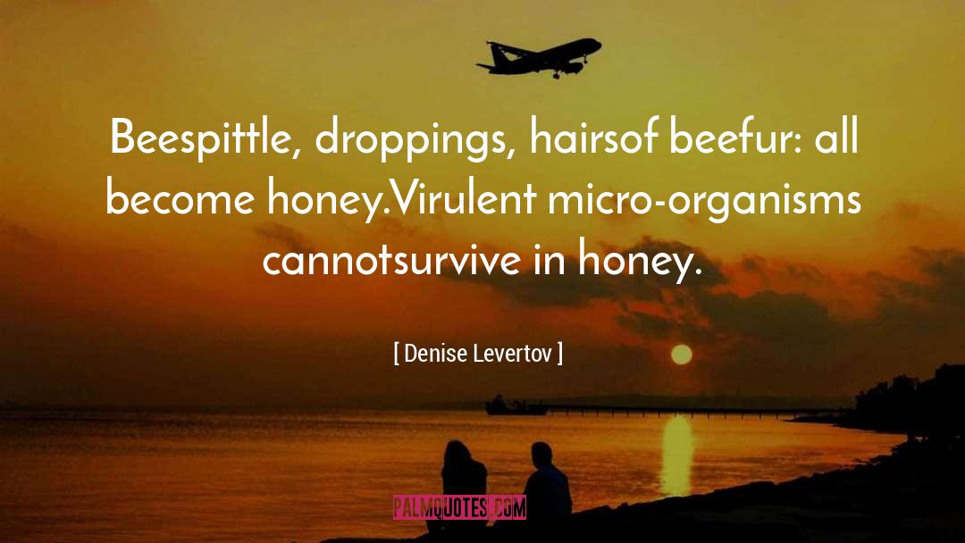 Droppings quotes by Denise Levertov