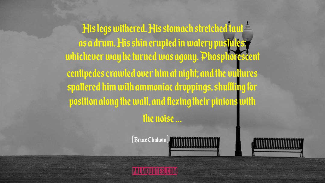 Droppings quotes by Bruce Chatwin
