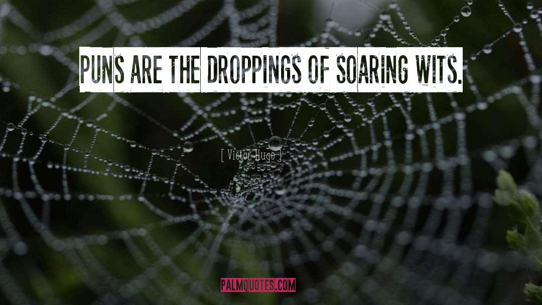 Droppings quotes by Victor Hugo