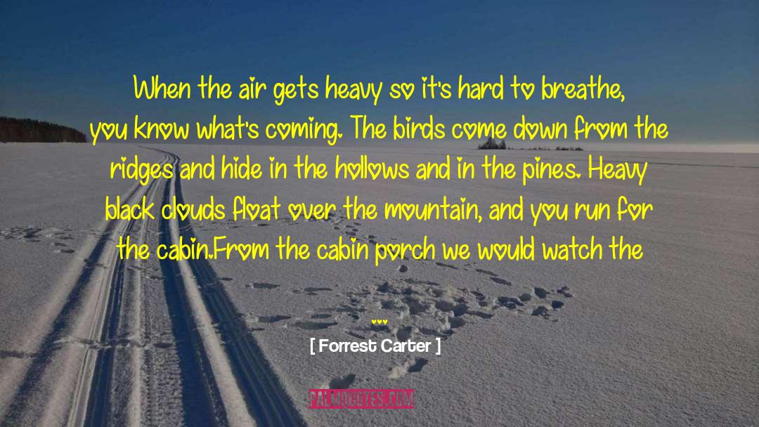 Drops In The Ocean quotes by Forrest Carter