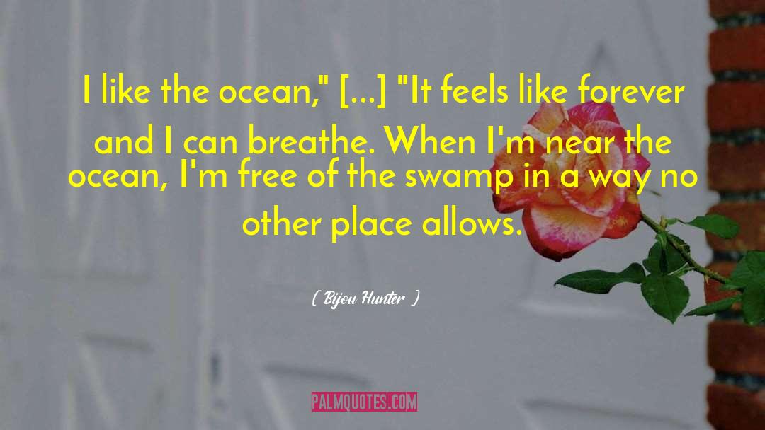 Drops In The Ocean quotes by Bijou Hunter