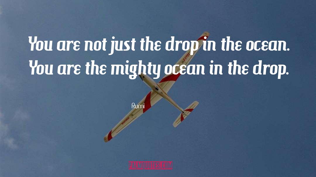 Drops In The Ocean quotes by Rumi