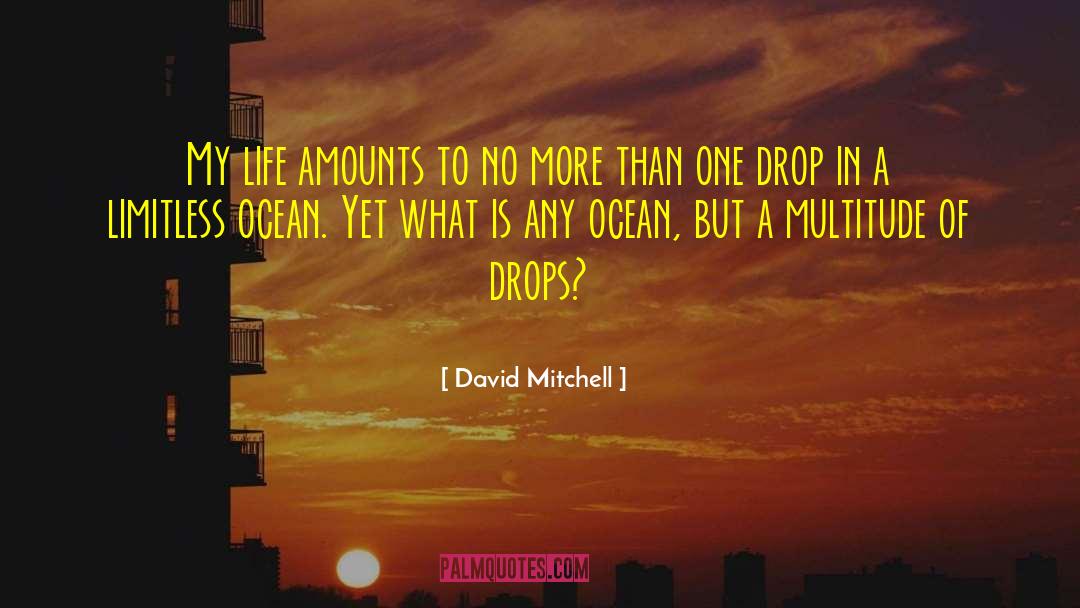Drops In The Ocean quotes by David Mitchell