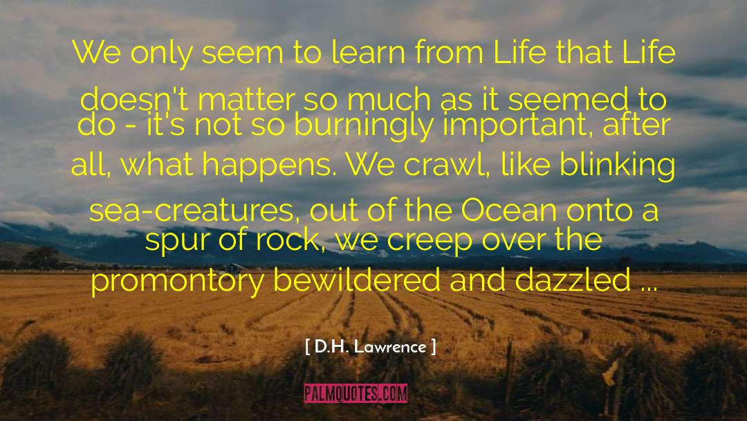 Drops In The Ocean quotes by D.H. Lawrence