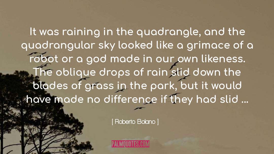 Drops Of Rain quotes by Roberto Bolano