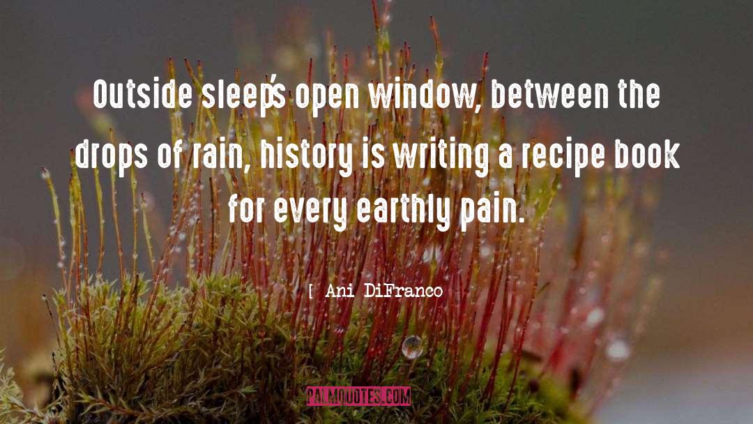 Drops Of Rain quotes by Ani DiFranco