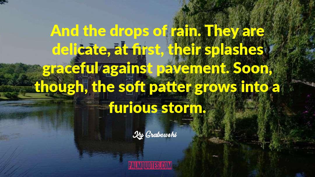 Drops Of Rain quotes by Ky Grabowski