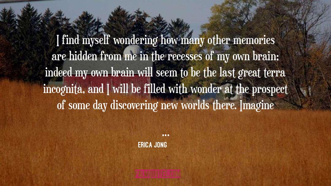 Drosophila Brain quotes by Erica Jong