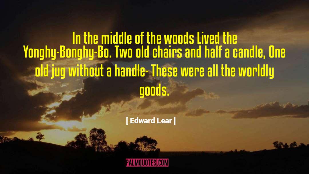 Drouet Chairs quotes by Edward Lear