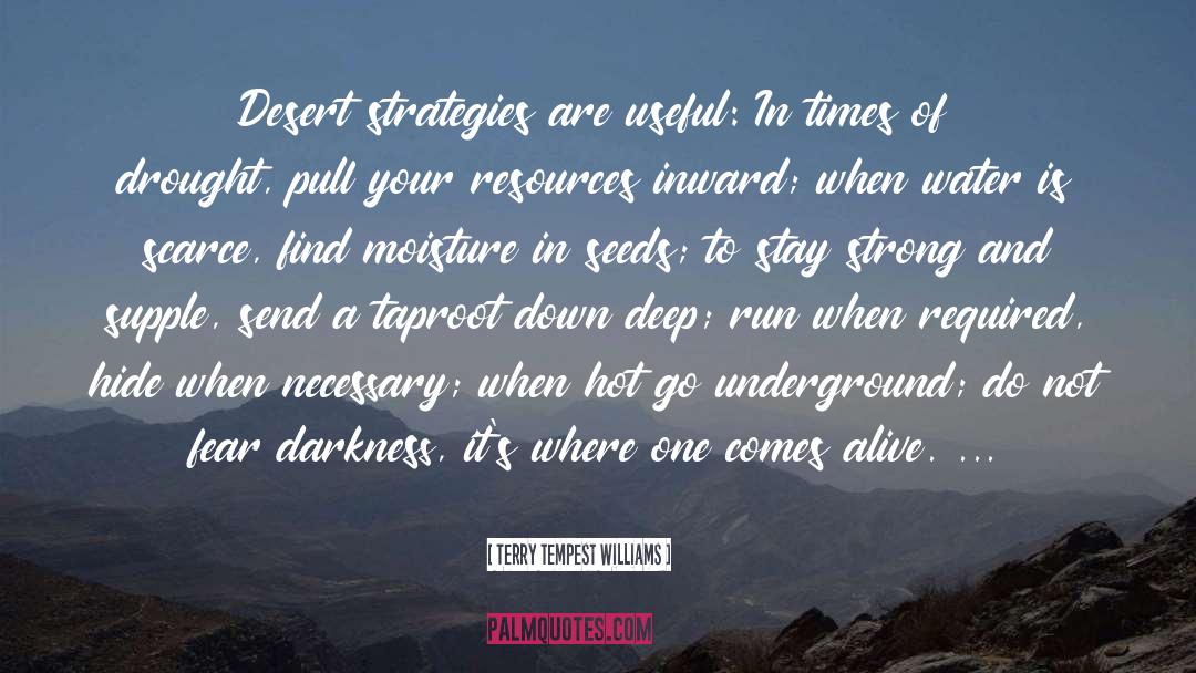 Drought quotes by Terry Tempest Williams