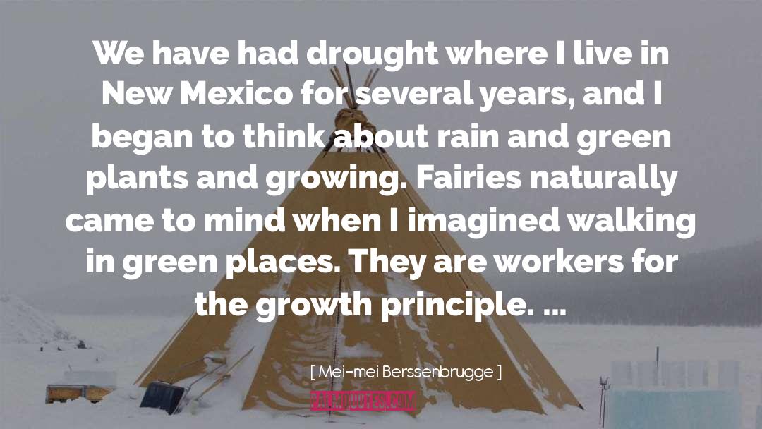 Drought quotes by Mei-mei Berssenbrugge