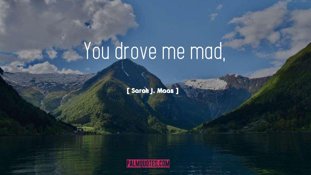 Drove quotes by Sarah J. Maas