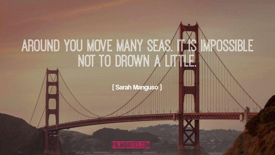 Drown quotes by Sarah Manguso